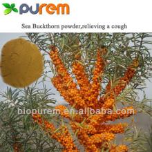 Buckthorn Skin extract 10:1 20:1