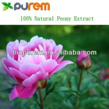 100% Natural  Peony  Root  Extract 