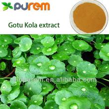 gotu   kola   extract  , Total triterpense(  Asiaticoside  & Madecassoside)