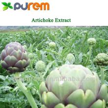 Artichoke Extract 2.5,5%Cynarin HPLC