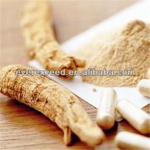 Hot sale! high quality ginseng extract