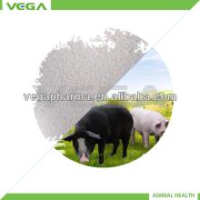 Animal health products vitamin E 50% feed grade china manufacturer