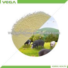 Alibaba golden supplier animal health products vitamin E 50% Low Price from china manufacturer
