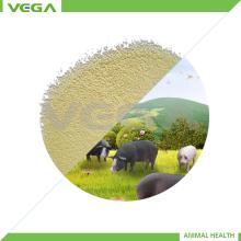 2013 chemical alibaba china poultry feed vitamin e 50%