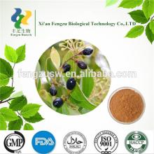 High quality cinnamon bark extract