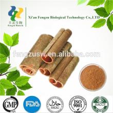 2014 hot sale Cinnamon extract