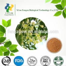 GMP factory cinnamon bark oil