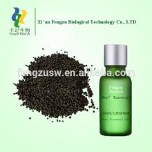Singapore  black  pepper oil, pure   black  pepper essential oil