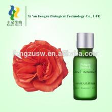 peony flower  oil   paint ing