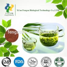 Pure Natural green tea extract catechins