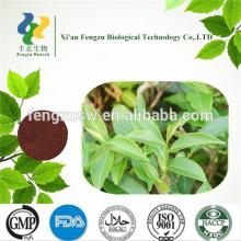 Best organic green tea extract Polyphenols 98%
