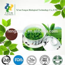 Natural Tea Polyphenols 98% green tea extract capsules