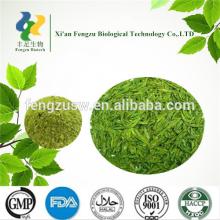 GMP factory supply matcha green tea