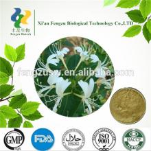 Low price Honeysuckle Flower & honeysuckle extract & honeysuckle tea