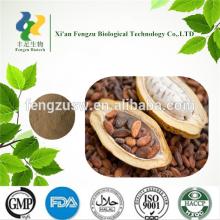 High quality cocoa powder price,alkalized cocoa powder