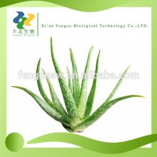 Best quality Aloe vera powder,organic Aloe vera powder 20% Aloin(Barbaloin)