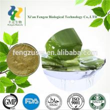 Top sale Organic Aloe Vera extract powder with very good quality