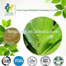 Top sale Organic Aloe Vera extract powder