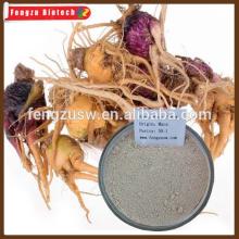 High qualtiy  maca  powder,  Peru  black  maca  extract100:1