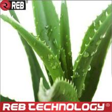 Aloe Vera Gel FD Powder
