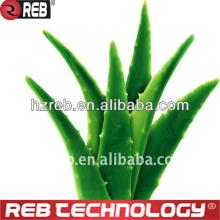 Aloe Vera Freeze-Dried Powder