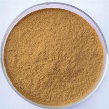 Hot sales Instant White Tea Powder 100% naturel