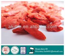 GMP 100% Natural  Goji   Berry   Extract   powder 