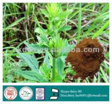 GMP 100% Natural  Valerian  Root  Powder  Extract