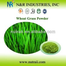 Organic Wheat Grass Powder and Wheat Grass Juice Powder