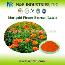 Marigold Flower Extract Lutein 5% 10% 20% 90% by HPLC/UV