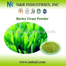 Organic Barley Grass Powder