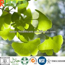Gingko Biloba P.E.