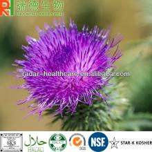 100% Natural  Milk   Thistle  P.E.