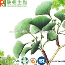 Gingko Biloba Extract 24/6