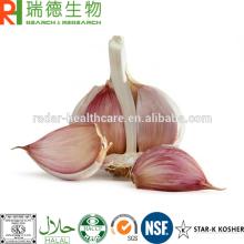 Garlic Extract