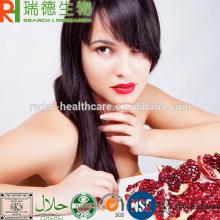 40% Ellagic acid powder