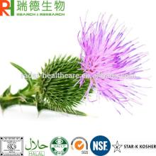 80%  Silymarin   Milk   Thistle   extract 