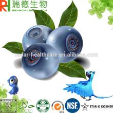 25% Anthocyanidin Bilberry Extract (Chinese)