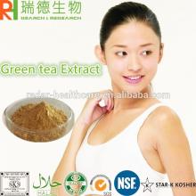 Green Tea Extract powder polyphenols