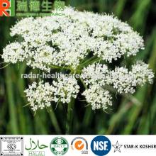 Common Cnidium Extract powder Osthole 35%-98%