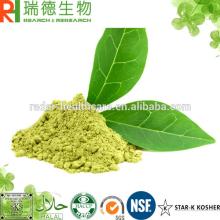 Tea Polyphenol 50% EGCG Green Tea Extract powder