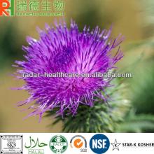 Milk Thistle P.E. silymarine