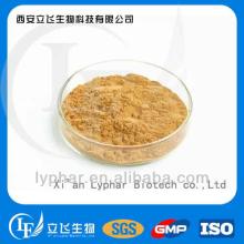 Natural Tea Tree mushroom Extract