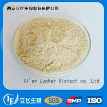 ( Tea   Mushroom  Extract) Agrocyb Aegerita Extract