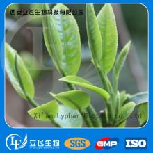 CAS No.:84650-60-2 Natural bio Green Tea Extract