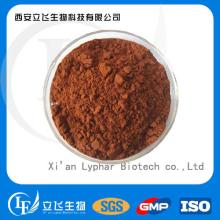 Red Wine Polyphenols
