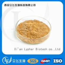 Manufacturer Supply 100% Pure Chlorogenic Acid