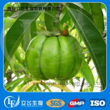 Garcinia Cambogia Extract