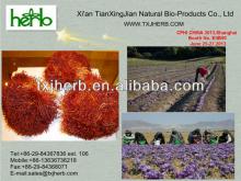 Top Quality Saffron Crocus Flower Extract