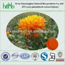 Crocus sativus L. / Saffron Extract / Saffron P.E.